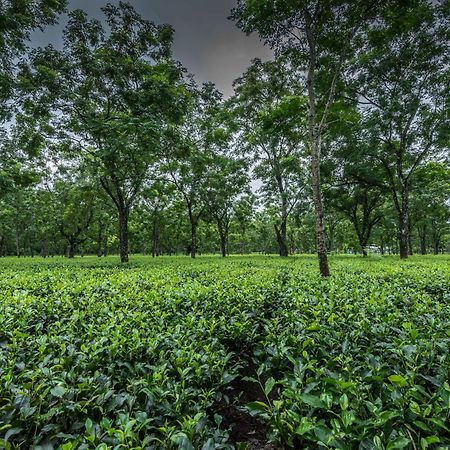 Tusker Tea County Hotell Chālsa Exteriör bild
