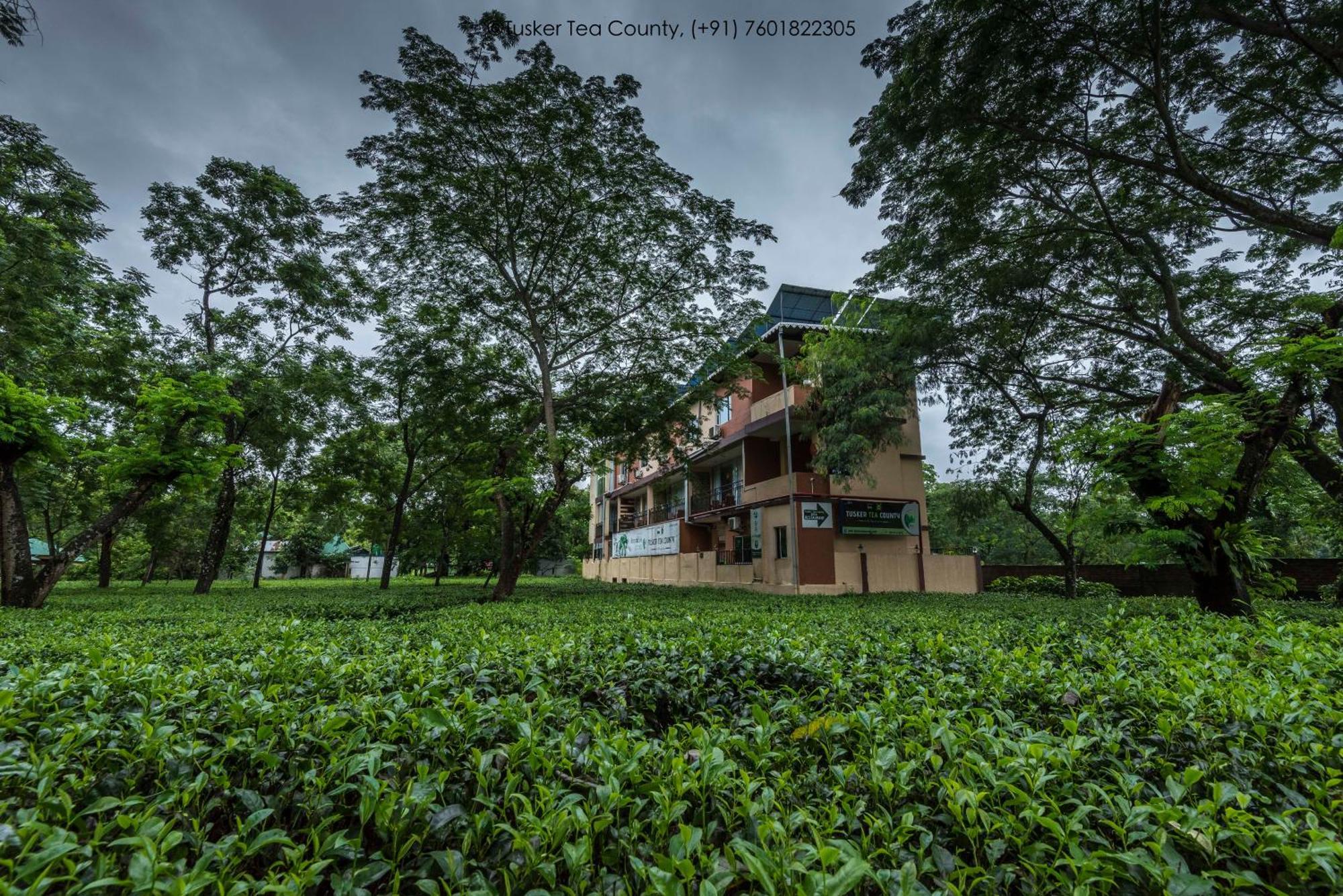 Tusker Tea County Hotell Chālsa Exteriör bild