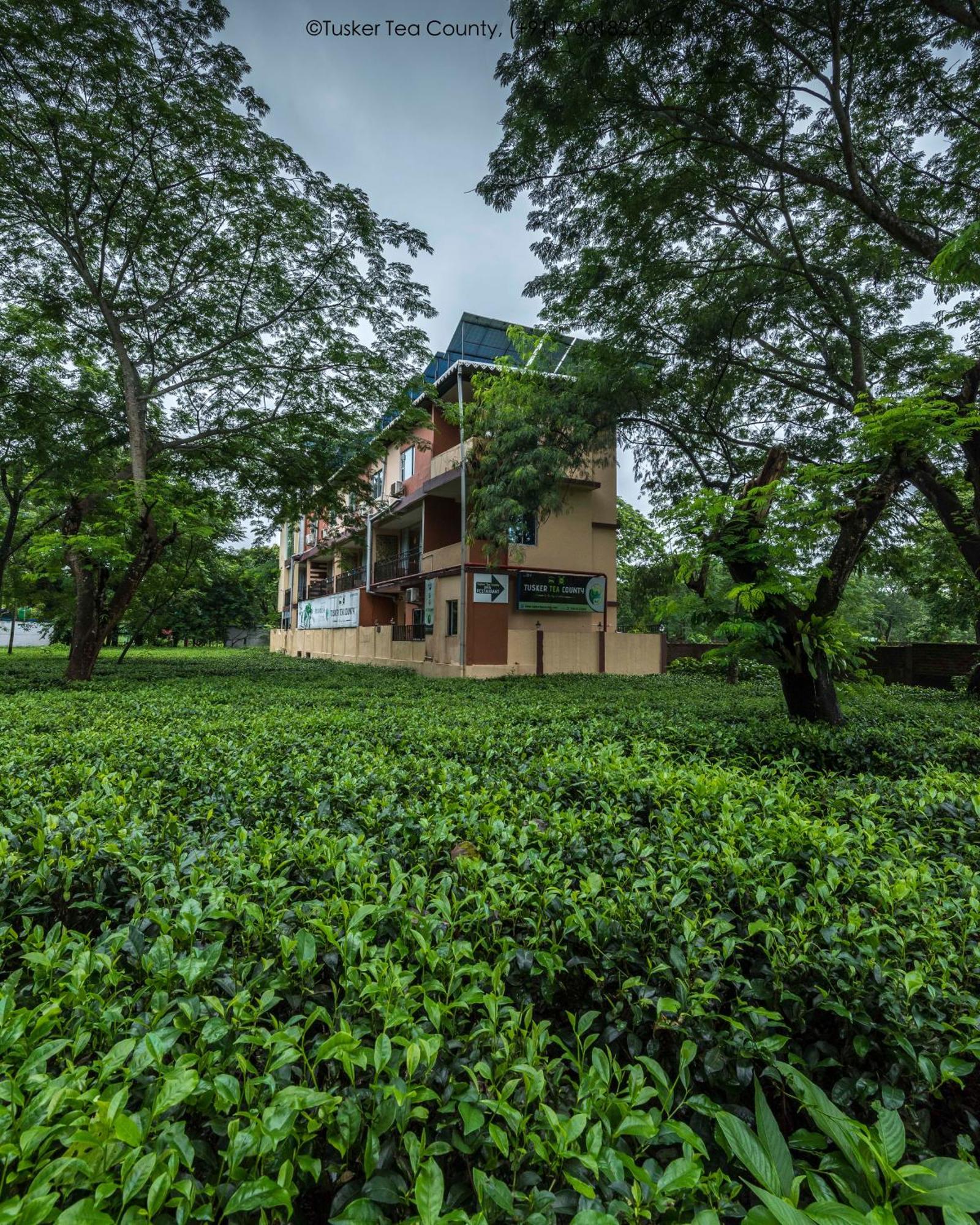 Tusker Tea County Hotell Chālsa Exteriör bild